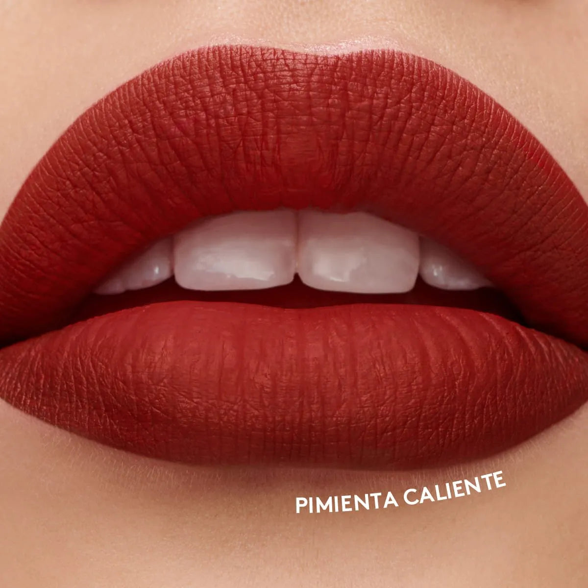 Labial COLORFIX Liquid Tattoo Mate