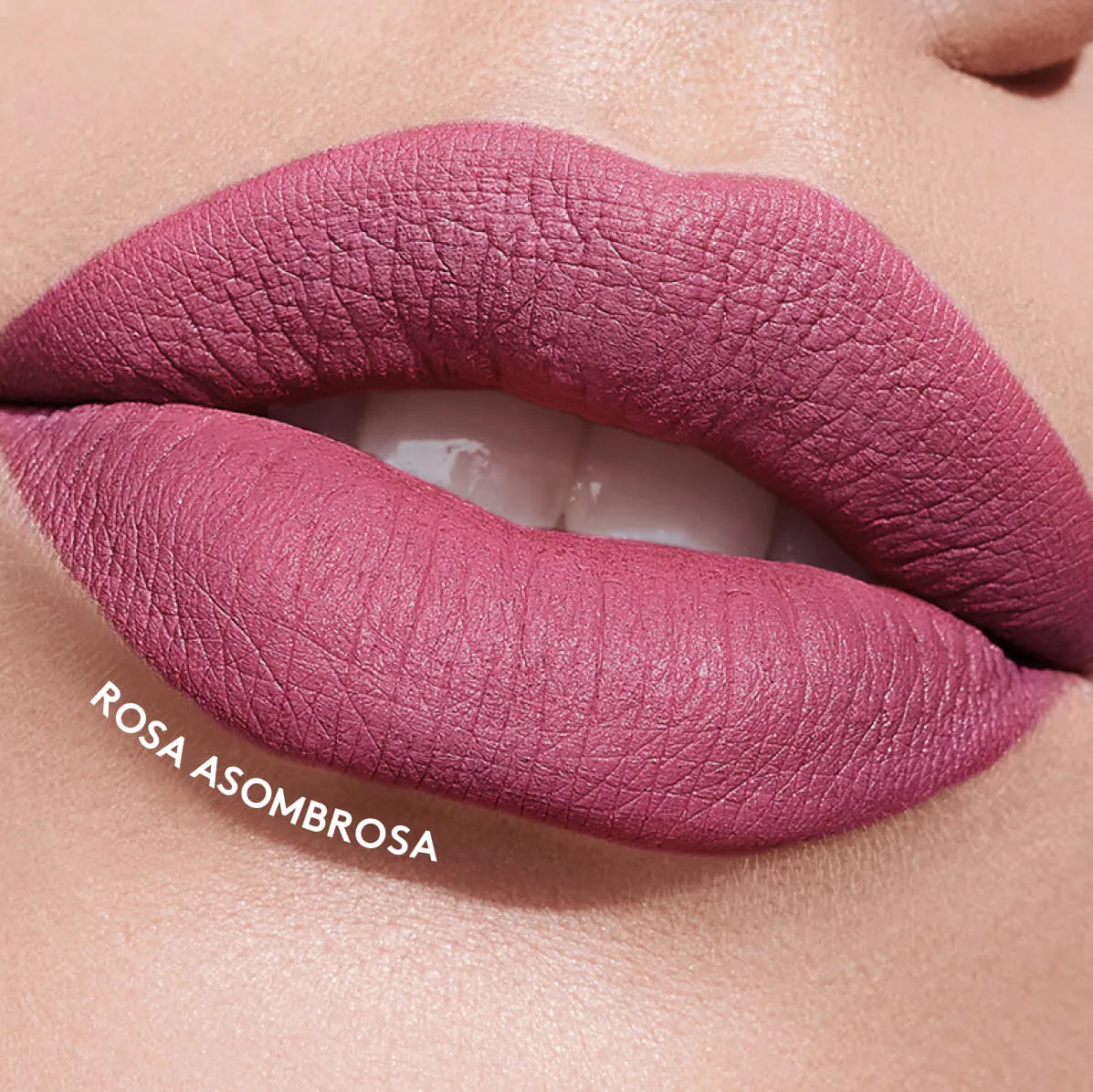 Labial COLORFIX 24H