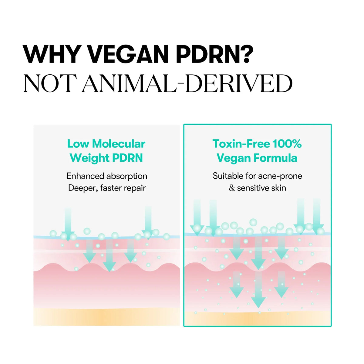 VT COSMETICS Crema en cápsulas de PDRN