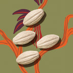 Pack de jabones Ekos Cacao 100g c/u
