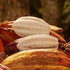 Pack de jabones Ekos Cacao 100g c/u