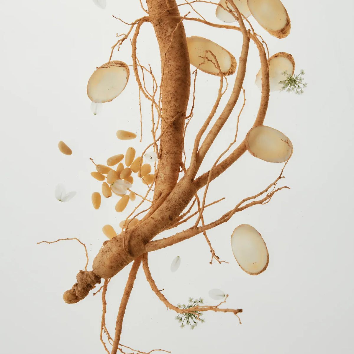 Revive Eye Serum : Ginseng + Retinal